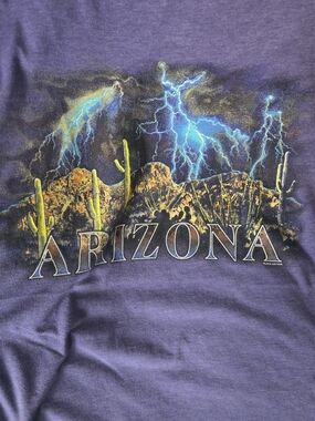 Arizona Graphic Tee Purple Lightning Desert Design Sz L EUC Super Soft Like New